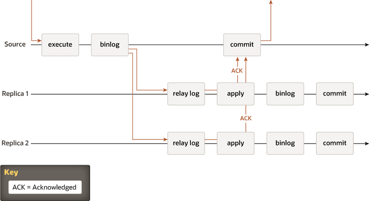 A transaction received by the source is executed and written to the binary log. The record from the binary log is sent to the relay logs on Replica 1 and Replica 2. The source then waits for an acknowledgement from the replicas. When both of the replicas have returned the acknowledgement, the source commits the transaction, and a response is sent to the client application. After each replica has returned its acknowledgement, it applies the transaction, writes it to the binary log, and commits it. The commit on the source depends on the acknowledgement from the replicas, but the commits on the replicas are independent from each other and from the commit on the source.